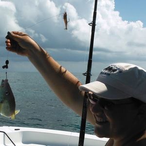 Meet your Posher, Carol